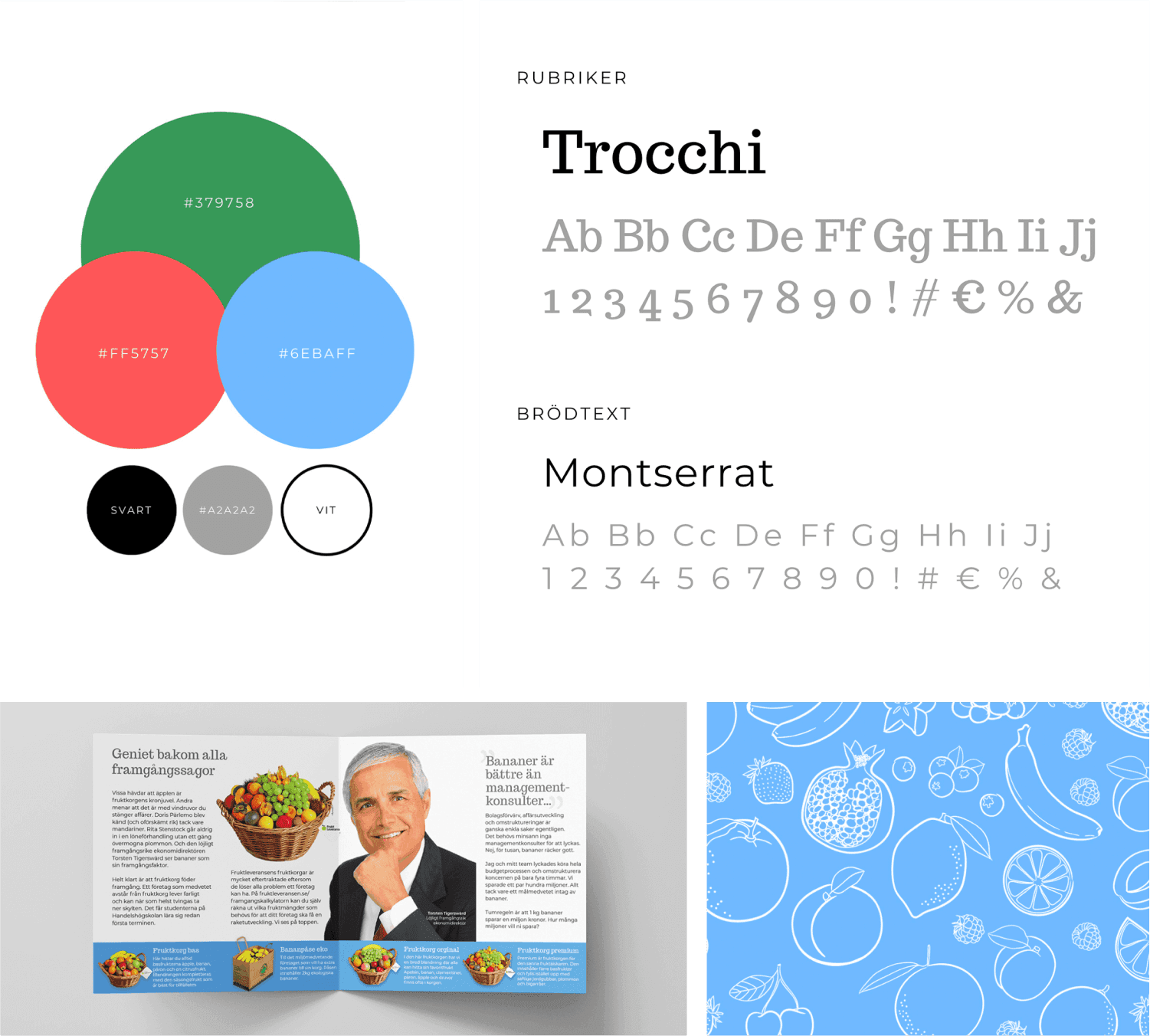 Grafisk profil & content
